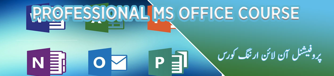 professional ms office course multan