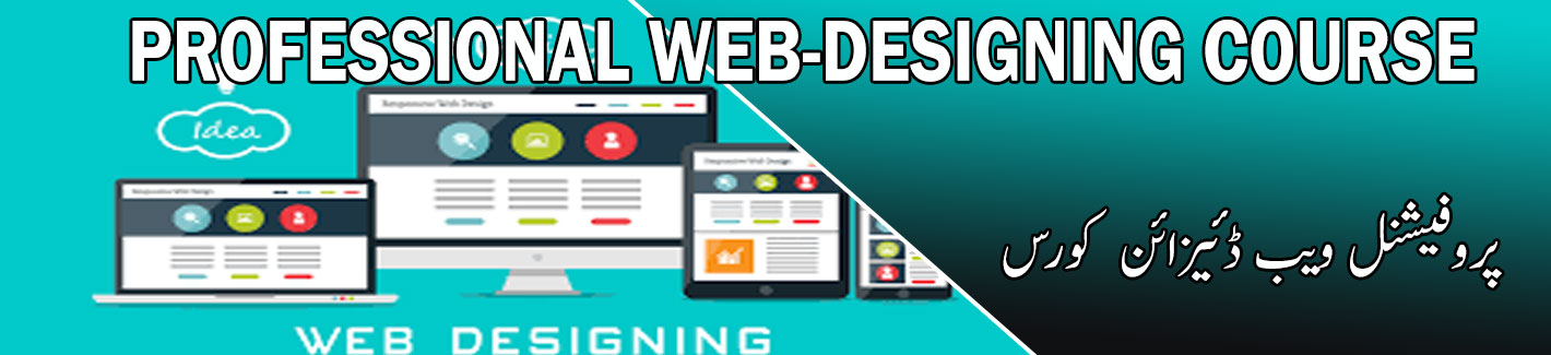 professional web designing course multan